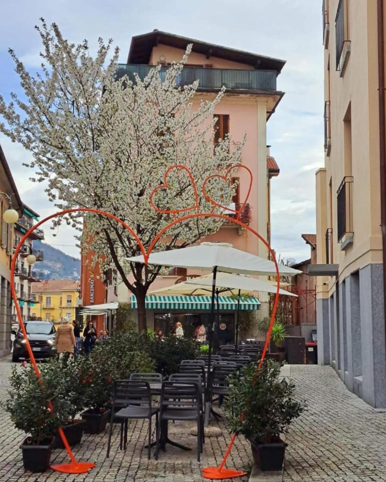 Appartamento La Terrazza Verbania Esterno foto